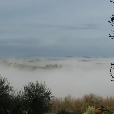 Vicolabate Farm stay *