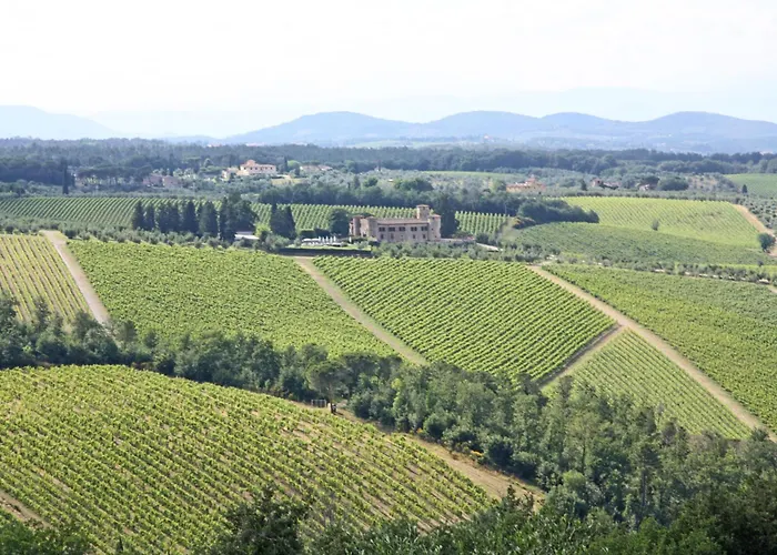 Farm stay Vicolabate